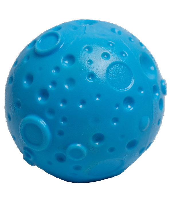 Pelota Moondog