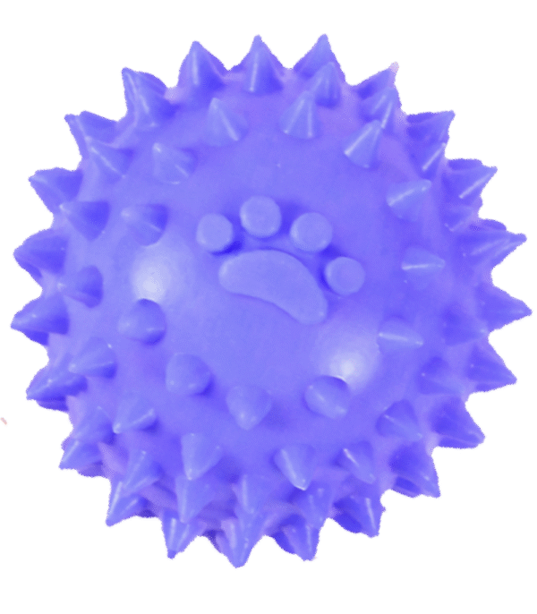 Pelota Mordelona